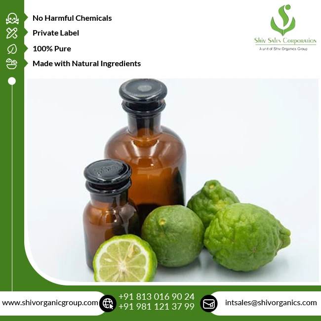 Best Quality Top Selling 100% Natural & Pure Bergamot Essential Oil for Wholesale Buyers