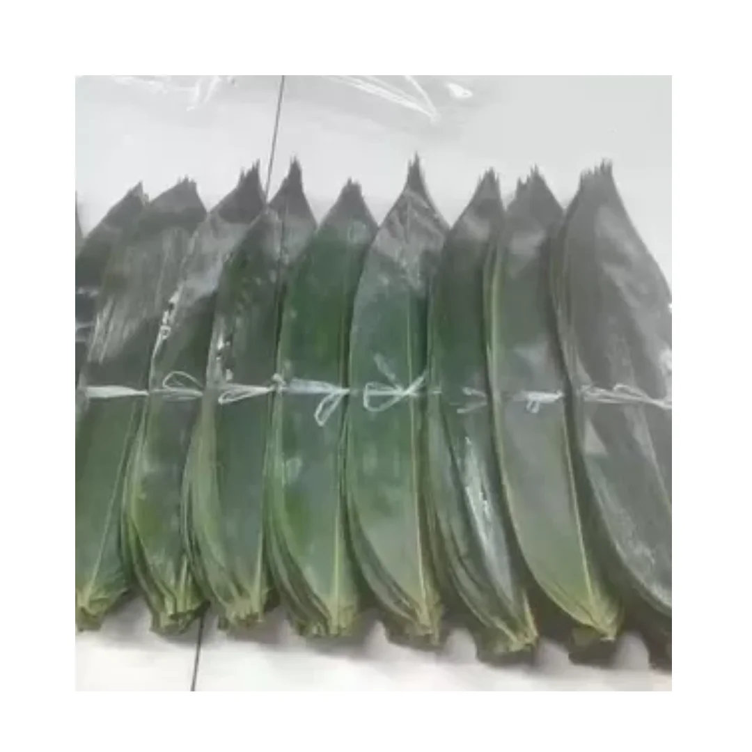 Factory Direct Vacuum Packaging Bamboo Leaves For Restaurants Sushi Bamboo Leaves Manufactered In Viet Nam