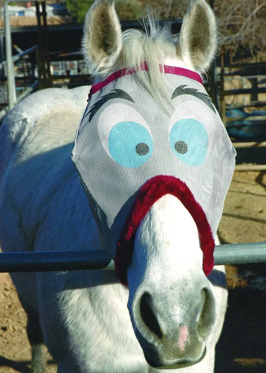 Horse Fly Mask