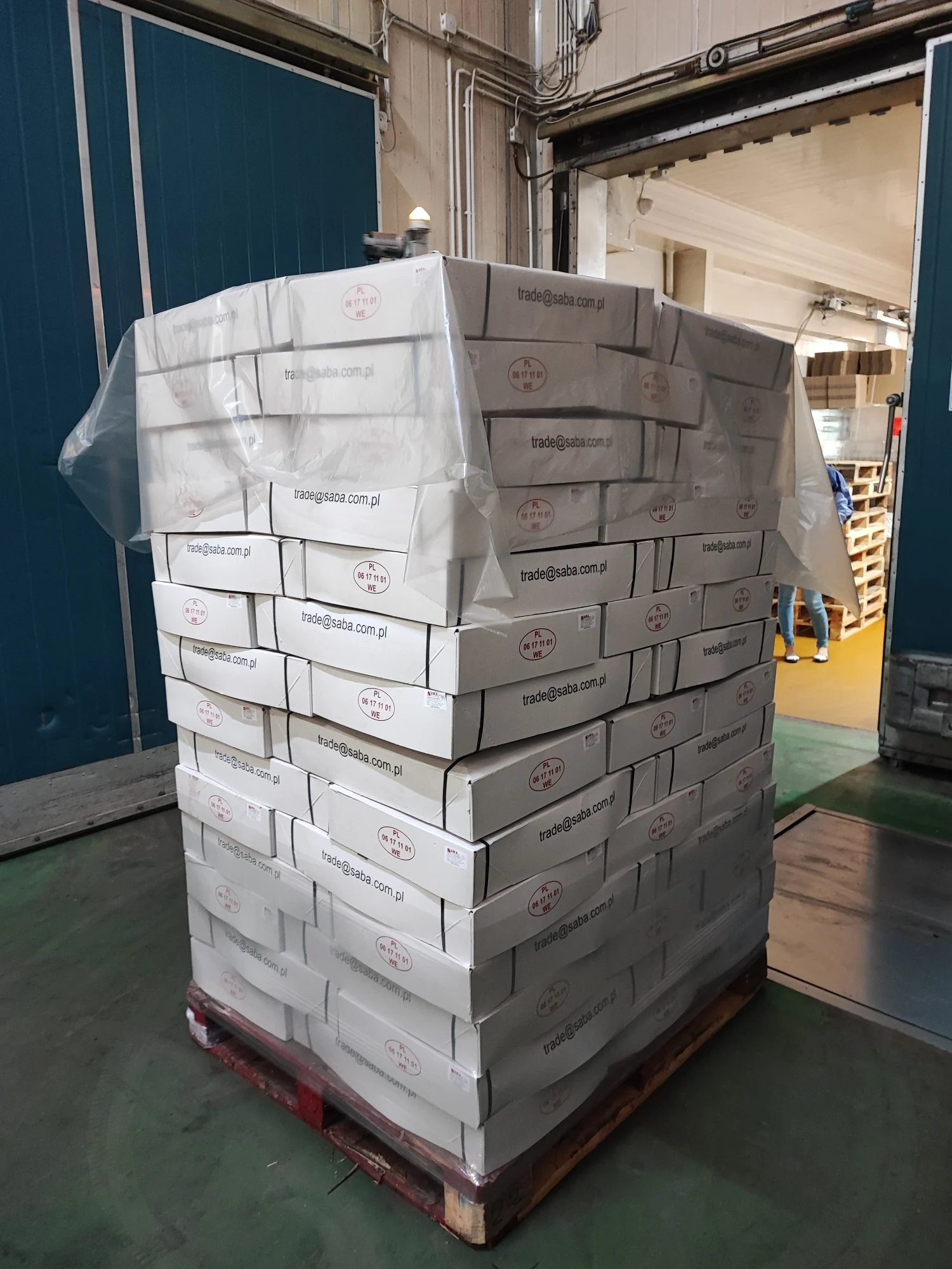 Frozen Chicken Paws Paw Bulk Wholesale Poland