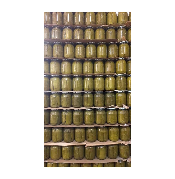 Excellent Quality Best Selling Premium Grade Canned Vegetables Egyptian Grape Leaves in Brine at Wholesale Market Price