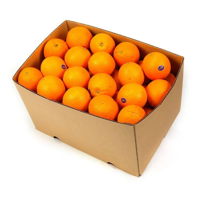 Natural High Quality Sweet Fresh Citrus Mandarin Navel Orange