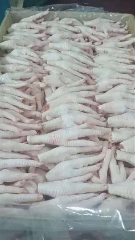 Brazil Chicken Paw Manufacturers, Suppliers and Exporters