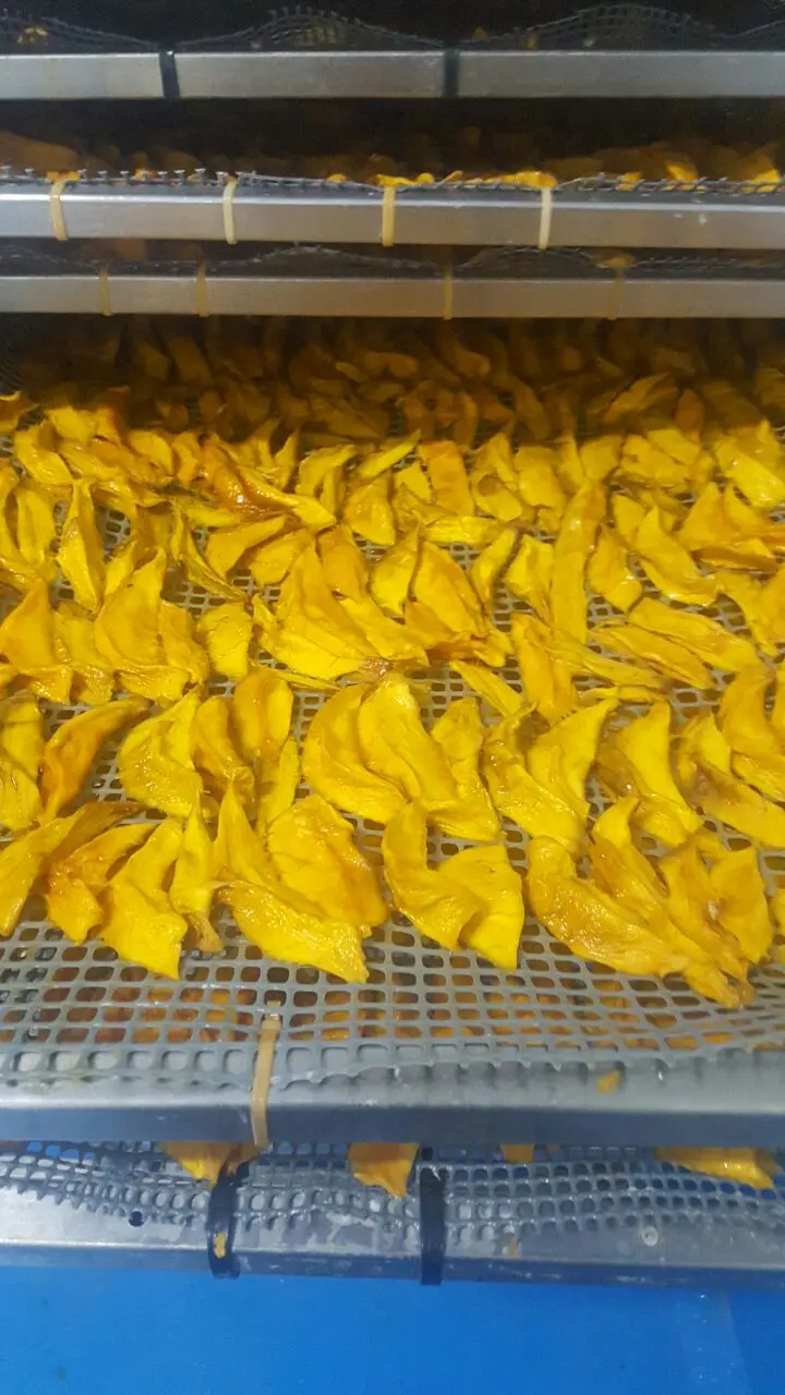 Dried Mango slices from Peru