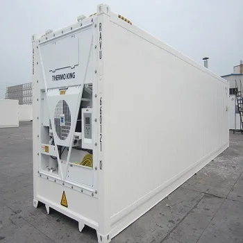 Deep Freezer Container