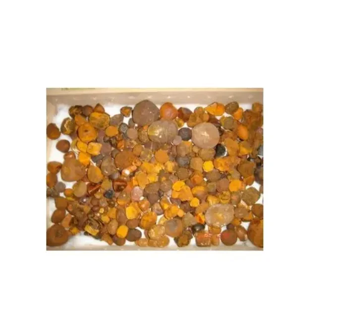 Premium Quality Ox Gallstones Sourced from Cattle Top-Grade Cow Gallstones for Traditional Medicine