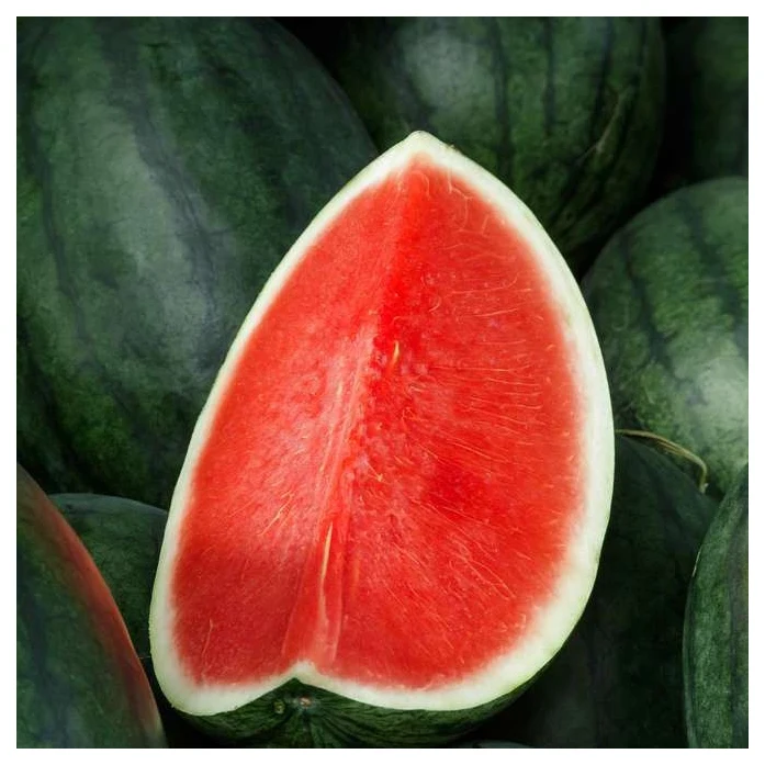 Fresh sweet watermelon for sale wholesale  fruit sweet watermelon seeds Available Juicy WaterMelon Natural Sweetness