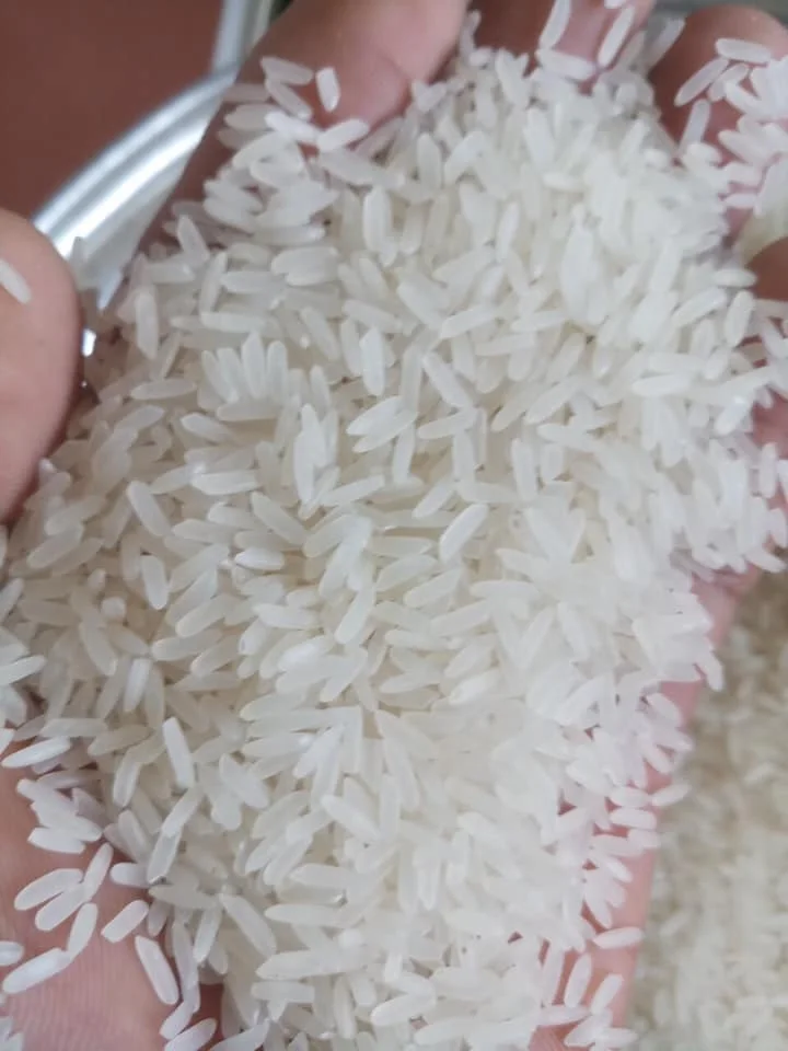 Dragonfly Jasmine Premium Quality Fragrant Rice - Strong Perfume Hom mali Rice (Whatsapp: +84-915355383)