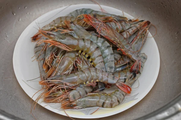 Frozen Fresh Shrimp 100% Frozen Vannamei Shrimp Healthy China Seafood Items with High Quality