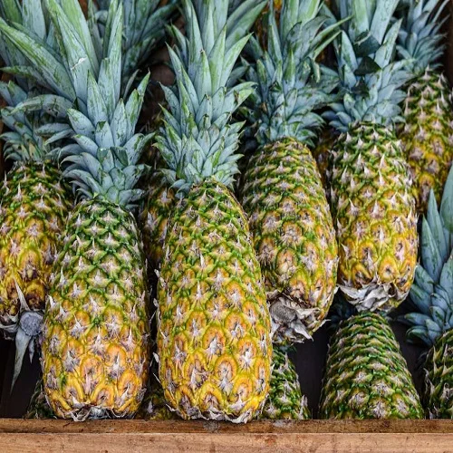 Buy Fresh Pineapple with high quality  MARKET WITH COMPETITIVE PRICE AND BEST QUALITY - Contact us for more detail