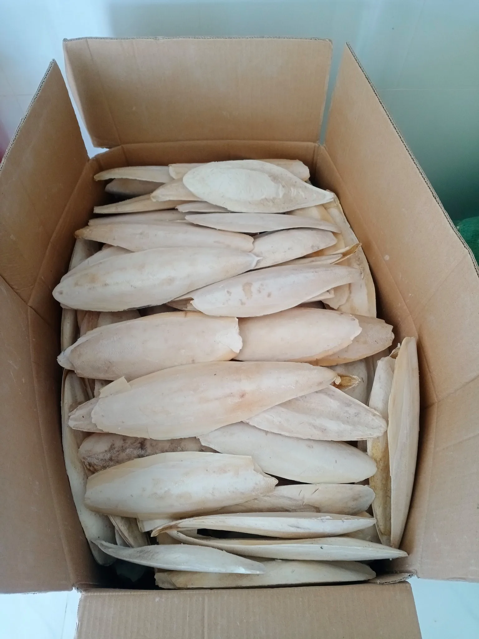 Сухой порошок для костей морской слепки-поставщик корма домашних животных из Вьетнама по низкой цене