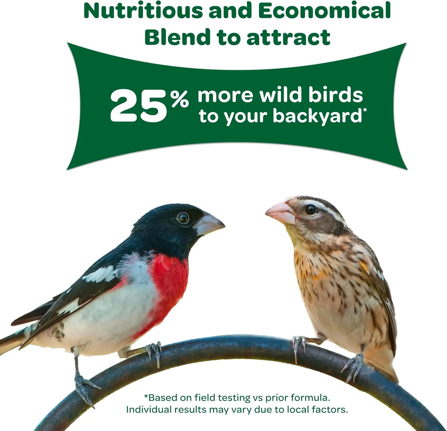 Wild Bird Food Basic Seed Blend