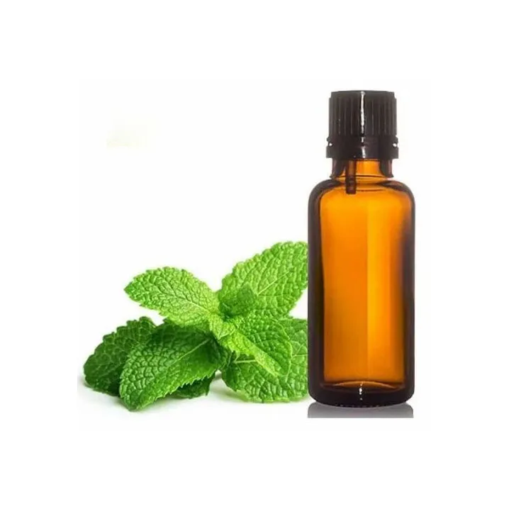 Pure and Natural Cold Pressed Organic Peppermint Seed Oil Wholesale Bulk Price Base Oil