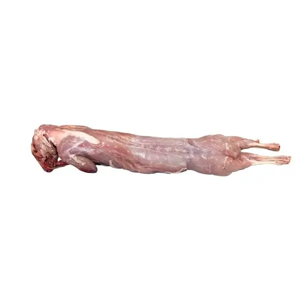 Best Quality Frozen Whole Rabbit Meat Frozen Rabbit Meat a