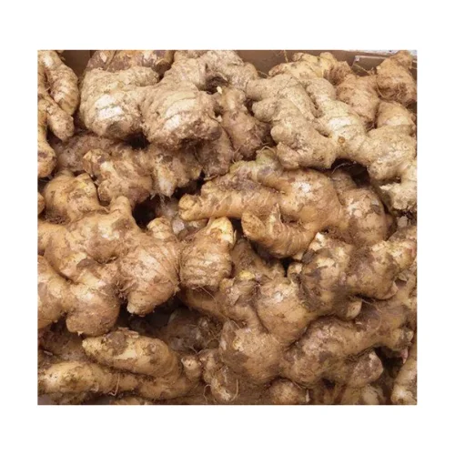 Новый Урожай свежего имбиря в хорошем вкусе, поставка желтого стиля, временной органический зазор, большой новейший вес, Вьетнам