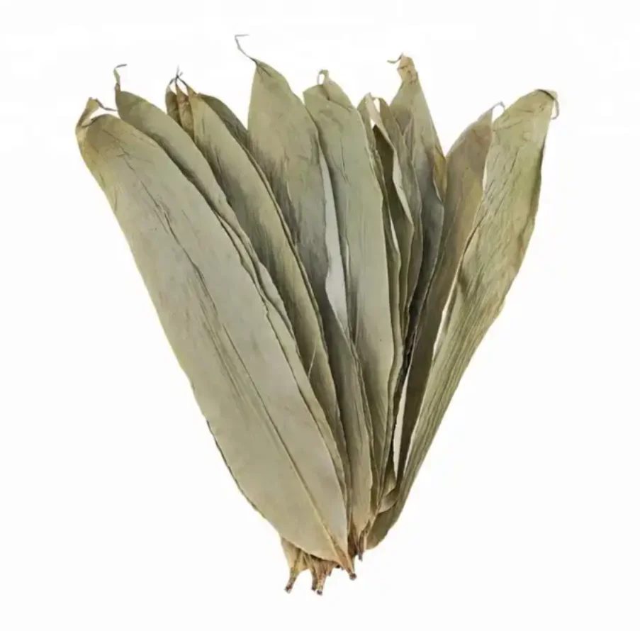 Wholesale Natural Organic Raw Dried Bamboo Leaves Vietnam Original Wild Natural Hand-picked High Quality Dried Bamboo Leaves