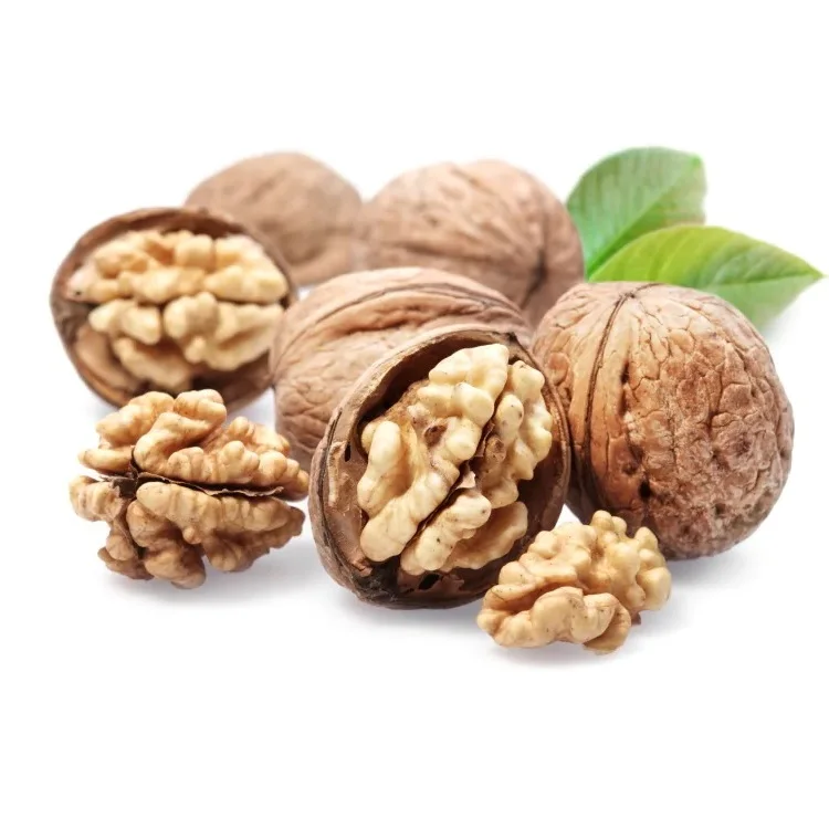 Wholesale Natural Organic First Grade White Walnuts In Shell Bulk Raw Walnut Kernels Nuts & Kernels