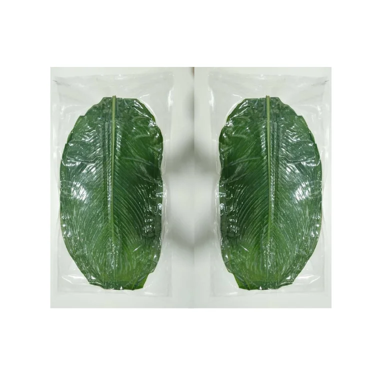 Свежий банановый лист обертывание пищевых продуктов замена на пластиковый пакет биоразлагаемый поставщик новый урожай произведенный во Вьетнаме оптом