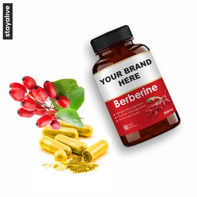 Hot Selling Natural Supplement Berberine Capsules  | Plant Extract Supplement  | OEM Private Label
