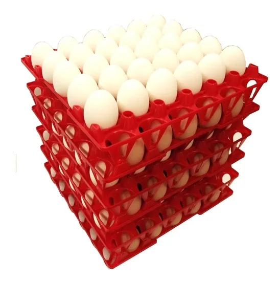 Wholesale Price Supplier Of White Fresh Table Eggs | Chicken Eggs