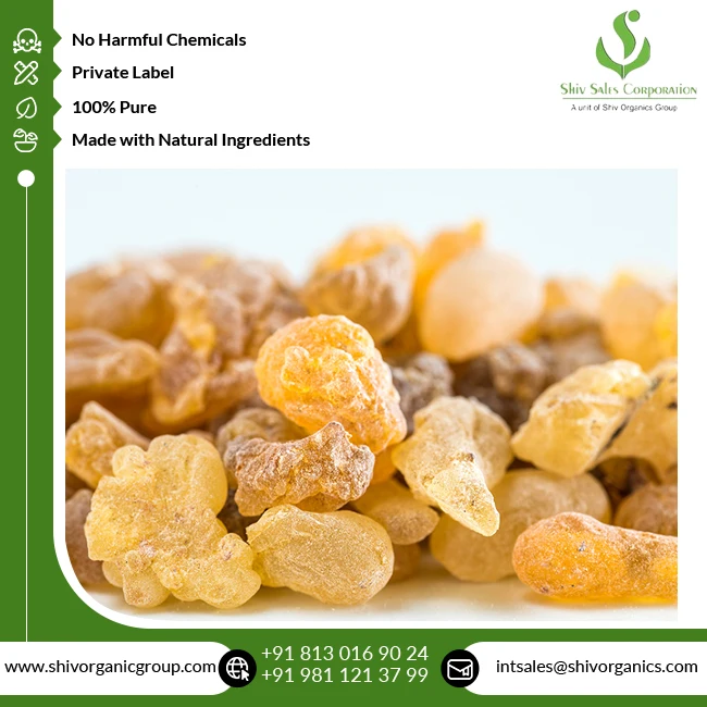 Highest Quality Wholesale Supply Pure and Natural Therapeutic Grade Boswellia Serrata Herbal Extract from Indian Exporter