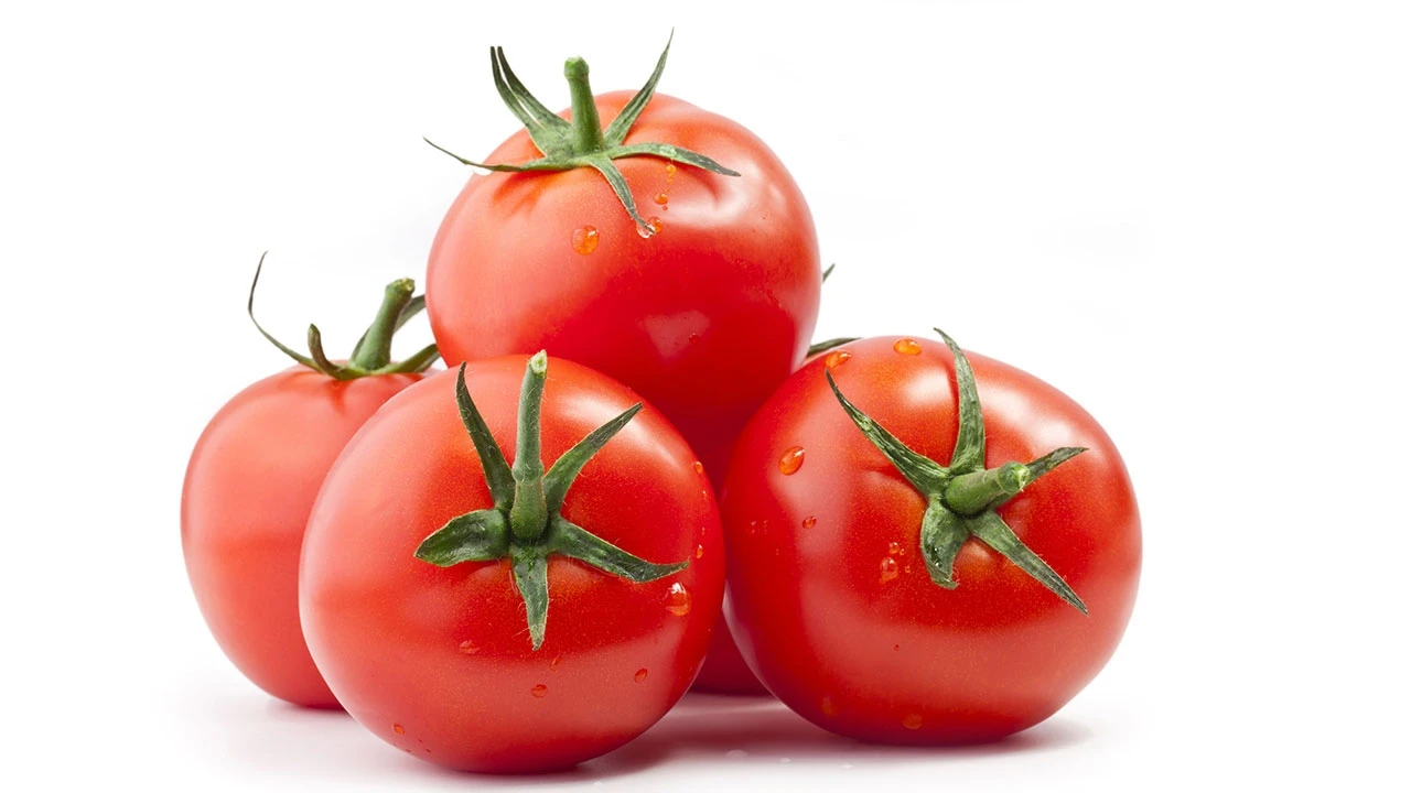 Fresh Tomato Rita Crop for Sale 2022 Fresh Tomato Green OEM Style Organic Weight Origin Type Variety Product ISO Place Model