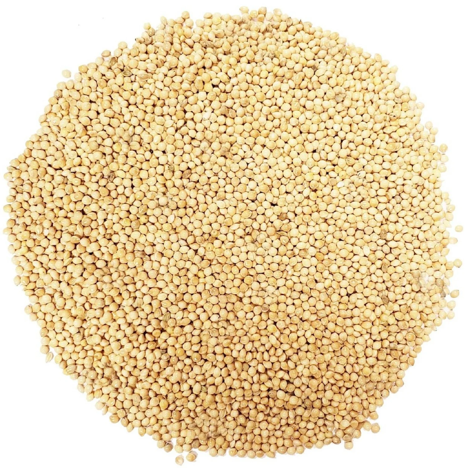 100% Natural Dried Whole Millet Grains With Cheap Price Wholesale Yellow Millet