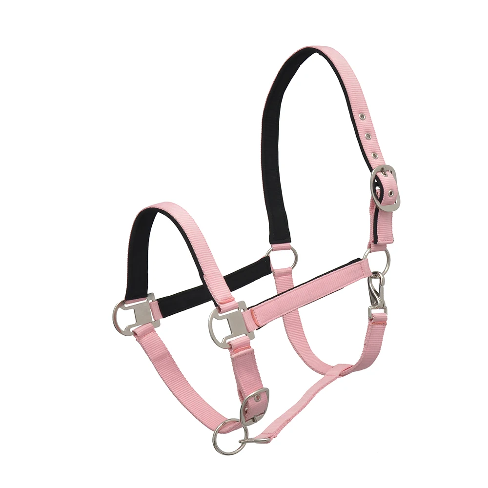 Hot Sale of Horse Riding PP Halter Available at Good Price Strong Premium Quality