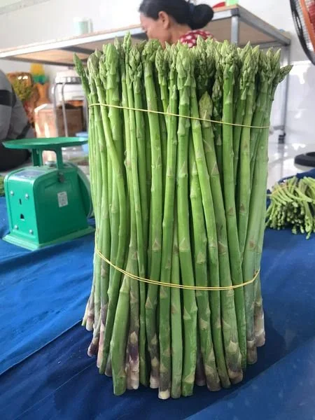 100% FRESH ASPARAGUS SUPER HIGH STANDARD WITH COMPETITIVE PRICE FROM VIETNAM 2023