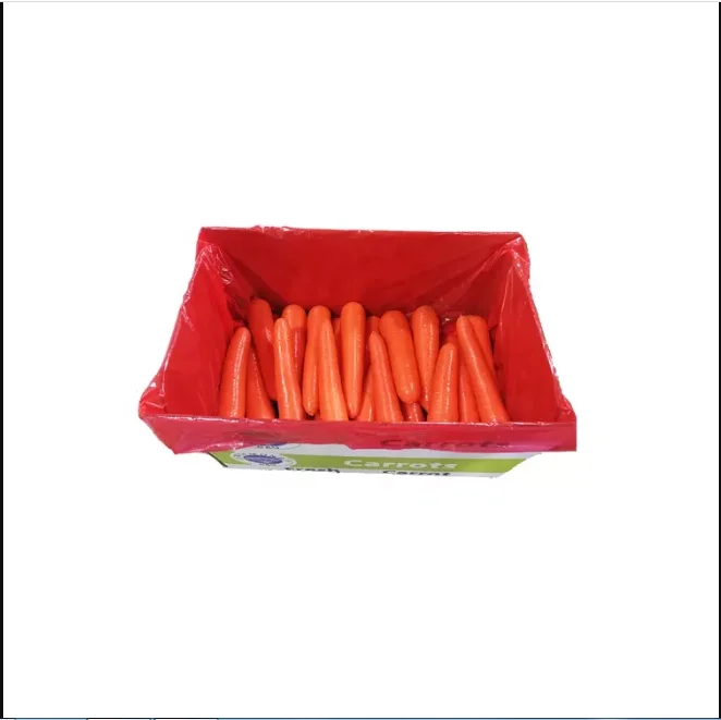 chinese fresh carrot S M L 2L 3L Shandong new crop Qingdao port