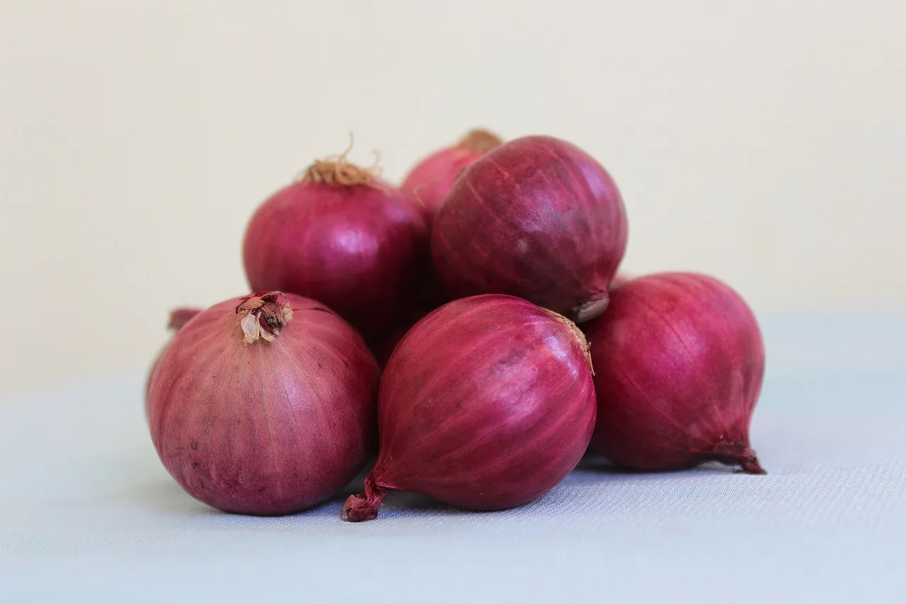 Vegetables used for cooking fresh red onion which you can get from us we wholesale all over the world sale