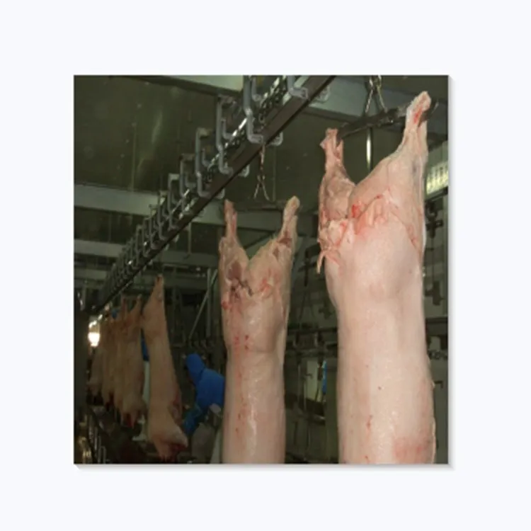 Живая свинья убойная линия slaughterhouse оборудование для завода-изготовителя