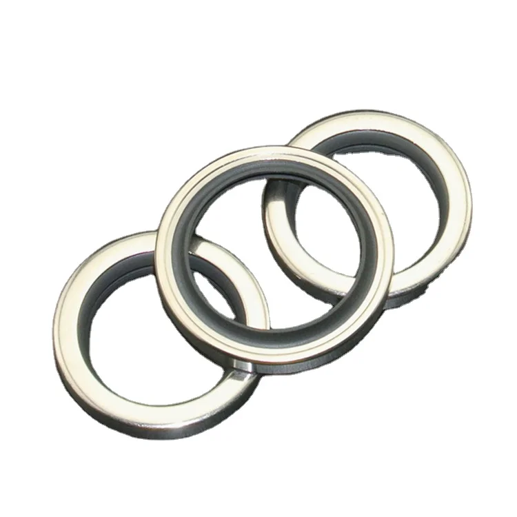 DLSEALS стандартное сальниковое уплотнение с двойной губой из ПТФЭ нержавеющей стали 40*55*8 стандартный размер/размер на заказ-30 ~ + 260 ℃ ПТФЭ + SS 304 80-90A берег