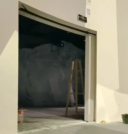 automatic plug door