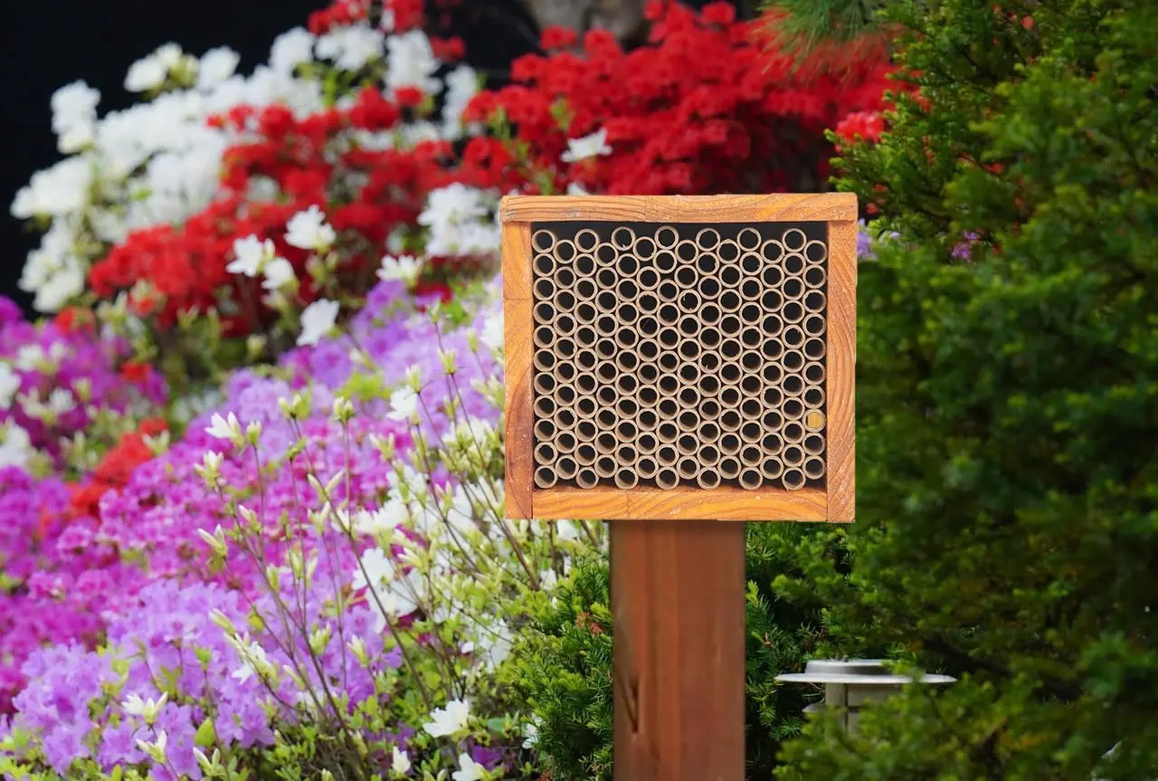 Wooden beehives are waterproof natural hand-decorated to attract peaceful bee pollinators bee preservation gifts