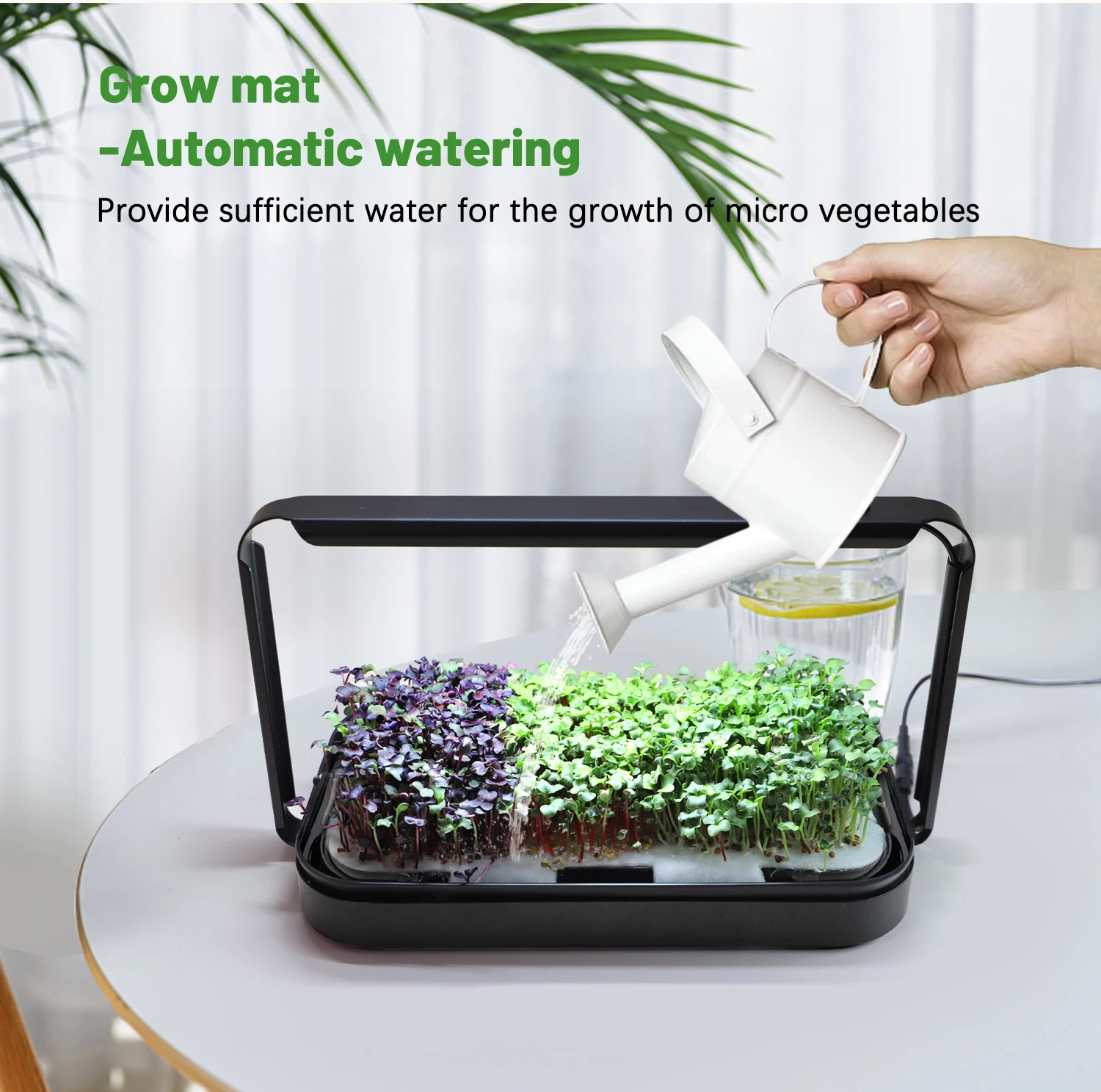 Indoor planter garden microgreen tray seeds organic mini basket smart microgreen system