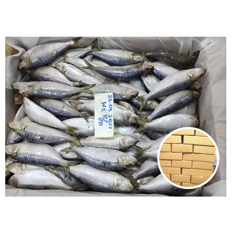 Поставка сардин небольшого размера, цельная круглая замороженная Оманская Сардина/пиколда
