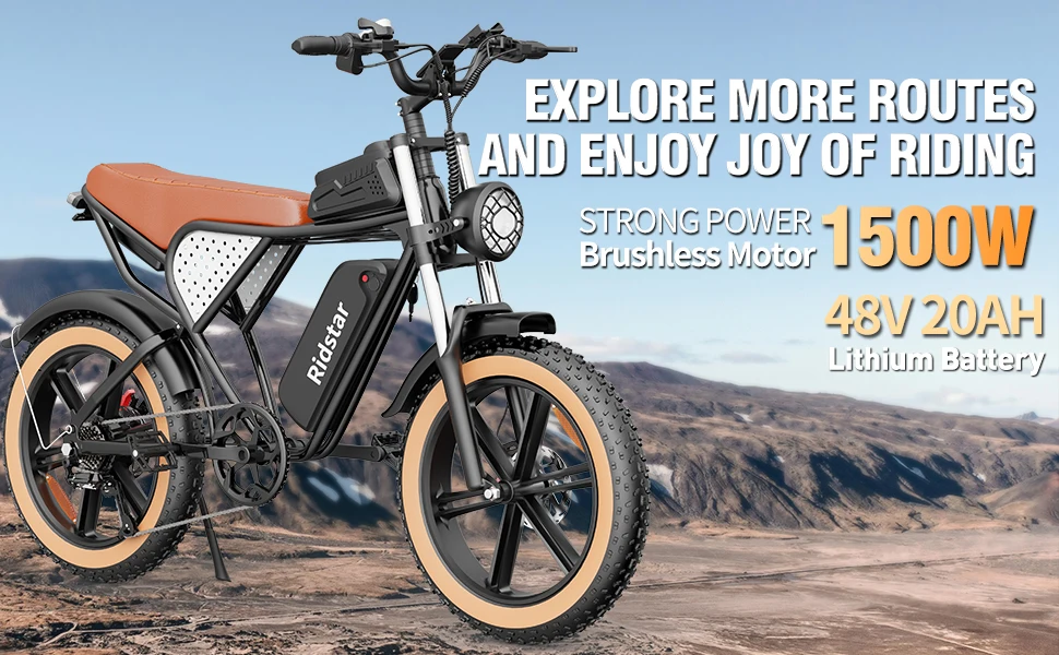 USA RTS Dual 48V 20AH Lithium Battery-Powered Electric Mountain Bike 1000W Big Power SHIMANO 7 Speed Tube Position