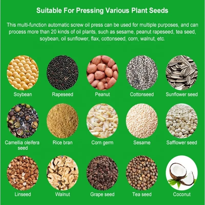 Oil Mill Press Machine Amaranth Seed Oil Press Machine Castor Oil Filter Press  Attractive Design New Type