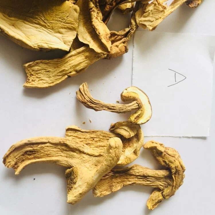 
 Дикие сушеные порцини, нарезанные болето эдулис  