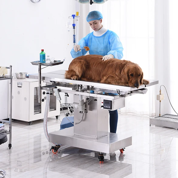 Professional veterinary pet vet operating table surgery table veterinary