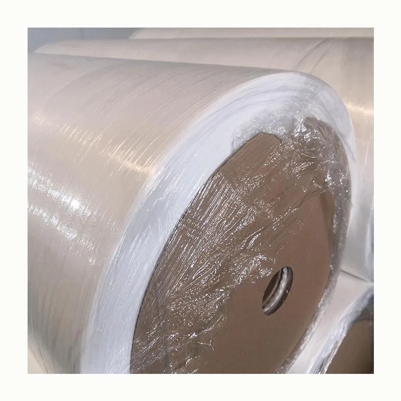 Guardwear OEM Pp Nonwoven Cloth Nonwoven Fabric In Roll 100% Polypropylene Spun Bonded Non-Woven Fabric Roll