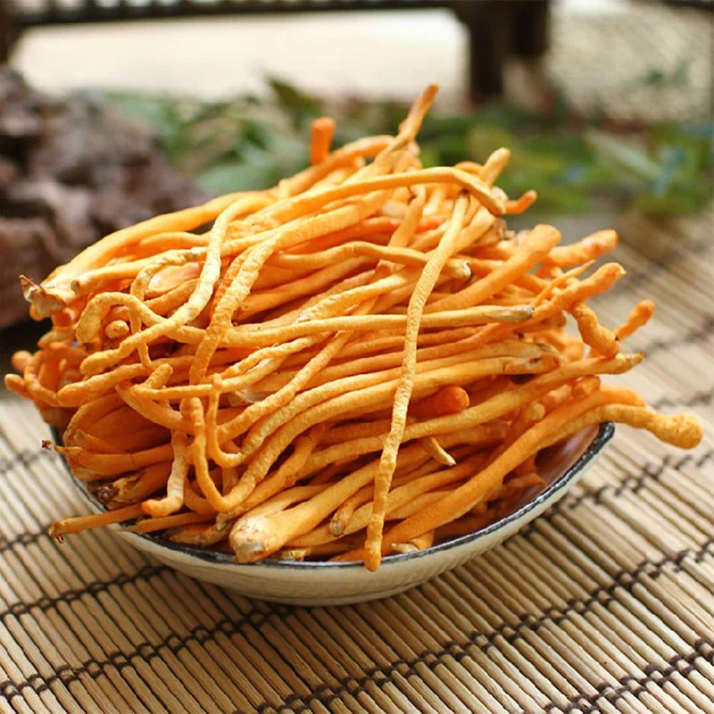 High quality cordyceps mushroom dry wholesale price
