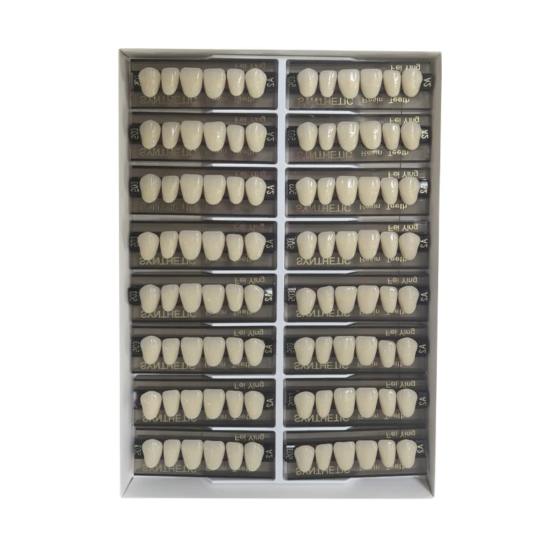 Dental Acrylic Resin Teeth Denture Teeth Artificial Teeth False Tooth