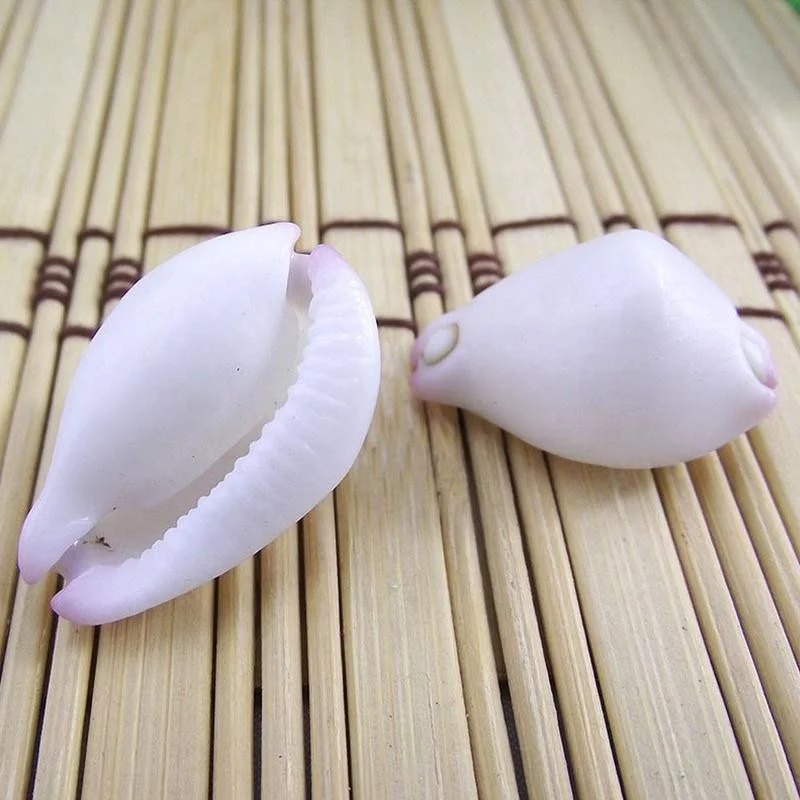 2.5cm Natural White Jade Rabbit Snail White Conch for Diy Treasures Rare Shell Collection Gift