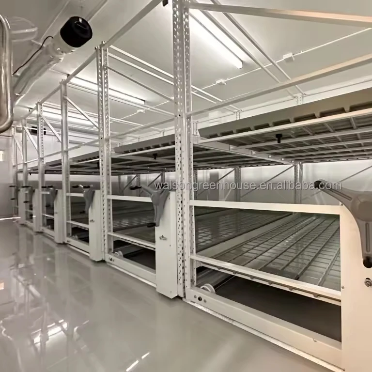 Modern two tier rolling benches mobile grow room vertical rack