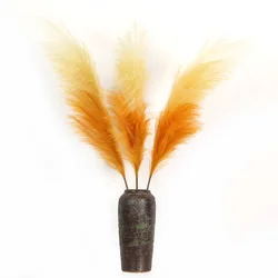 Multicolor Artificial Tiffany Blue Pampas Cortaderia Selloana Gradient Neon Pampas Phragmites Communis Pampas Seeds