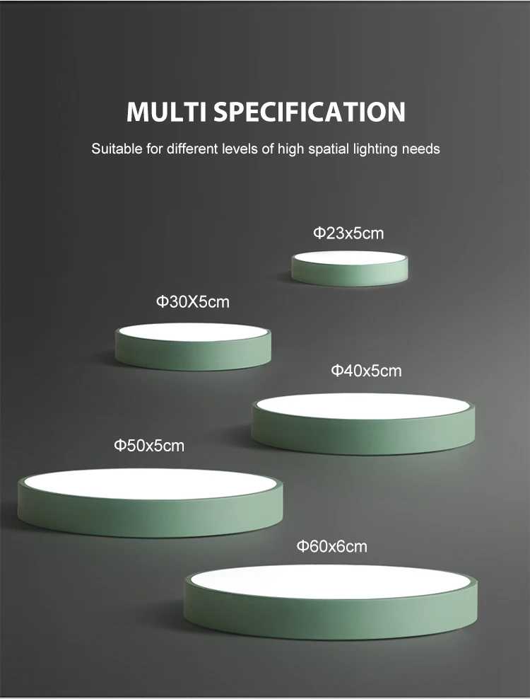 Ceiling light 8754  03.jpg