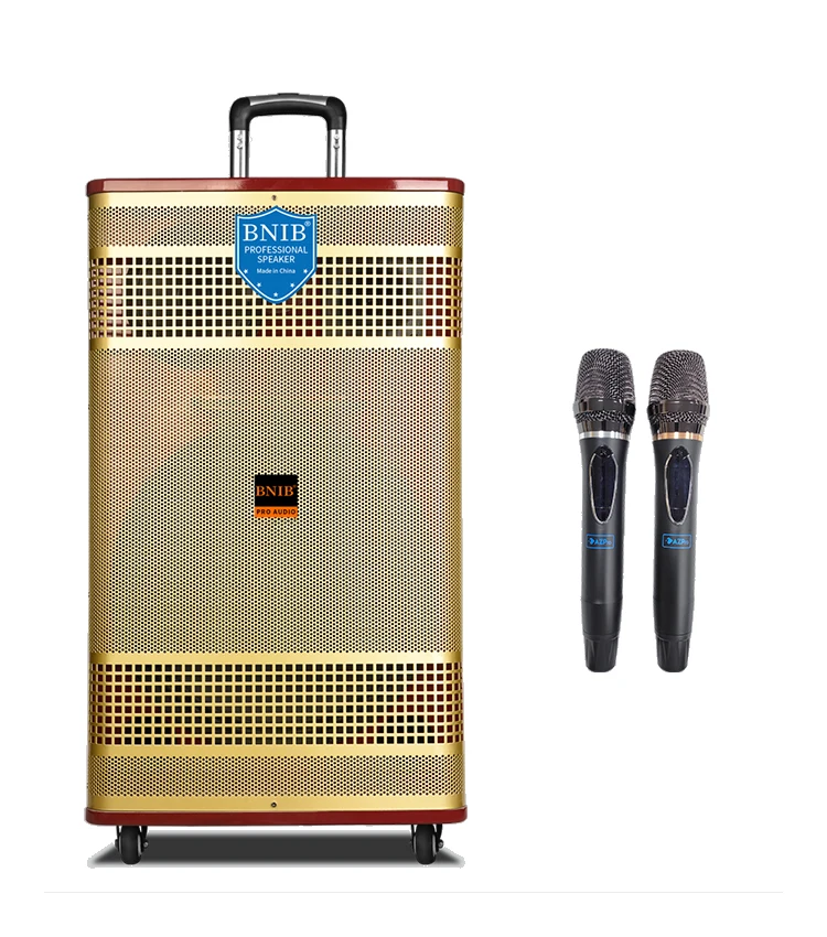Pro Portable Big Size Speaker Wireless Trolley 15 INCH Loudspeaker Outdoor Stage Big Power 1000W Boombox Blue-tooth TF card