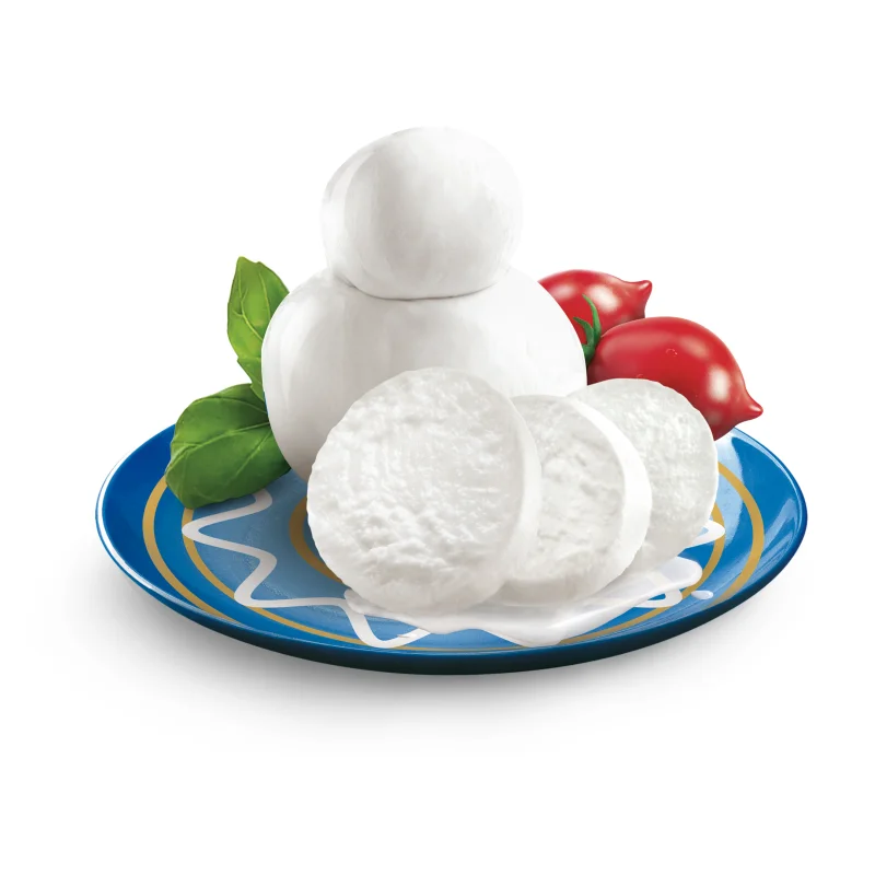 Hot Sale Italian Premium Mozzarella Fresh Cheese Plain Processed Cheese for Export Private Label